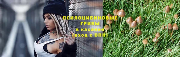 марки lsd Нея