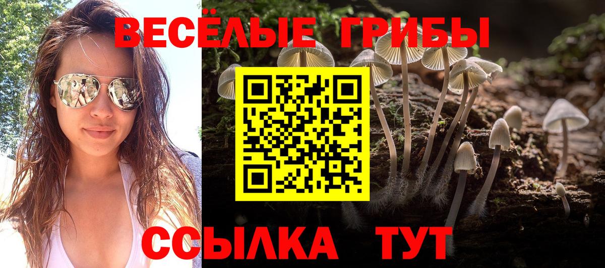 Галлюциногенные грибы GOLDEN TEACHER Краснознаменск