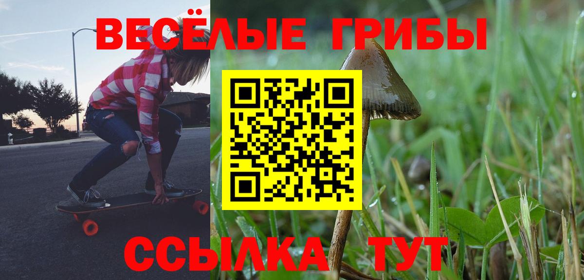 Галлюциногенные грибы прущие грибы  Вход с VPN  Краснознаменск  Псилоцибиновые грибы прущие грибы 